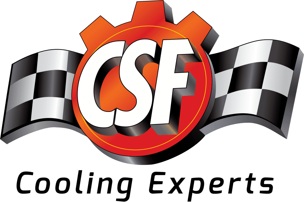 CSF Logo